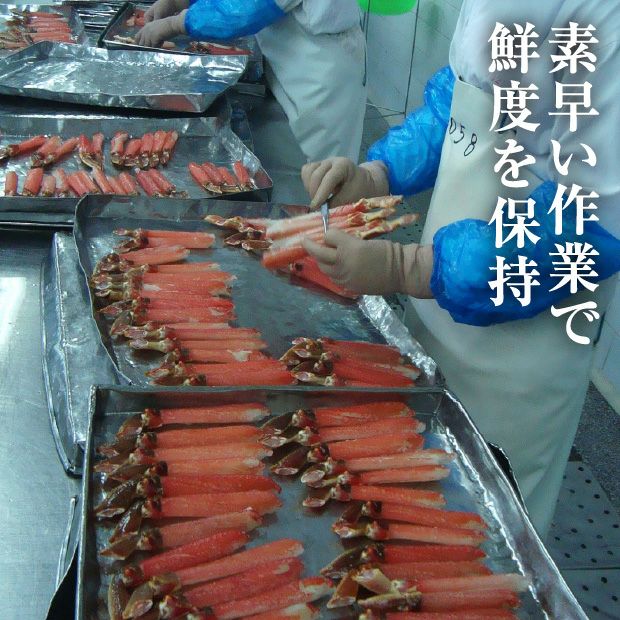 生冷オオズワイ棒ポーション