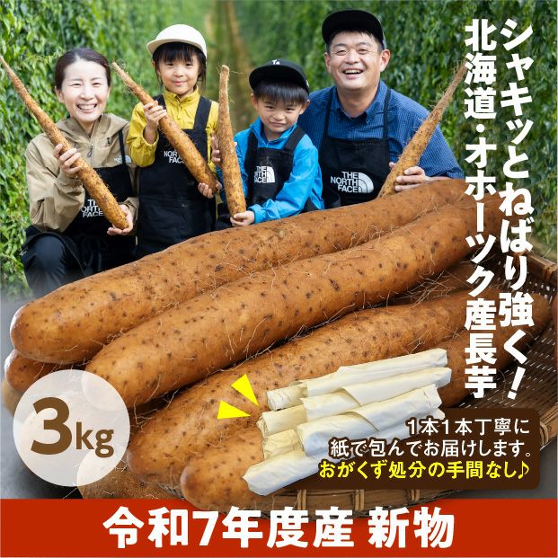 網走産 長いも 3kg