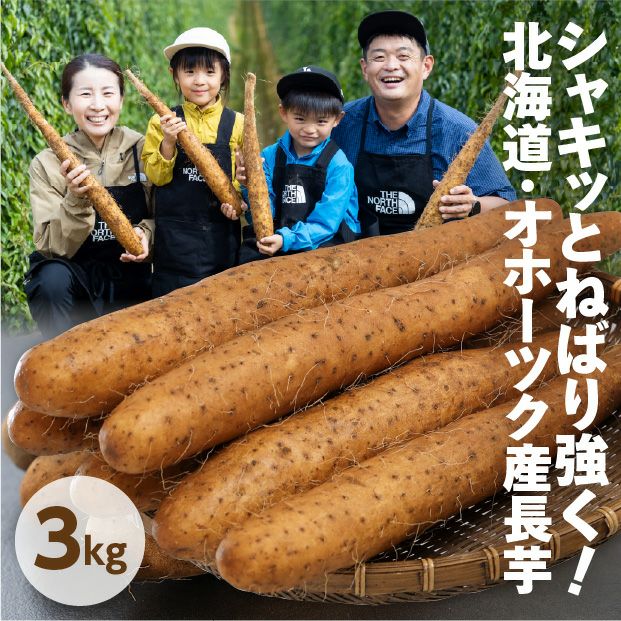 網走産 長いも 3kg