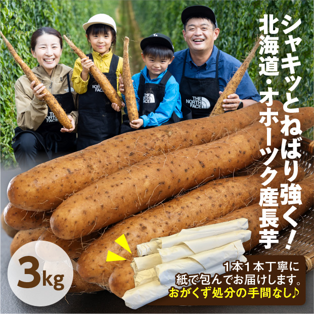 網走産 長いも 3kg