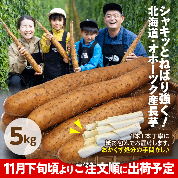 網走産 長いも 5kg
