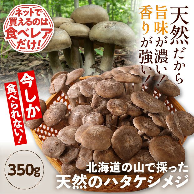 天然ハタケシメジ | 食べレア北海道 - 北海道の物産の「レア」な