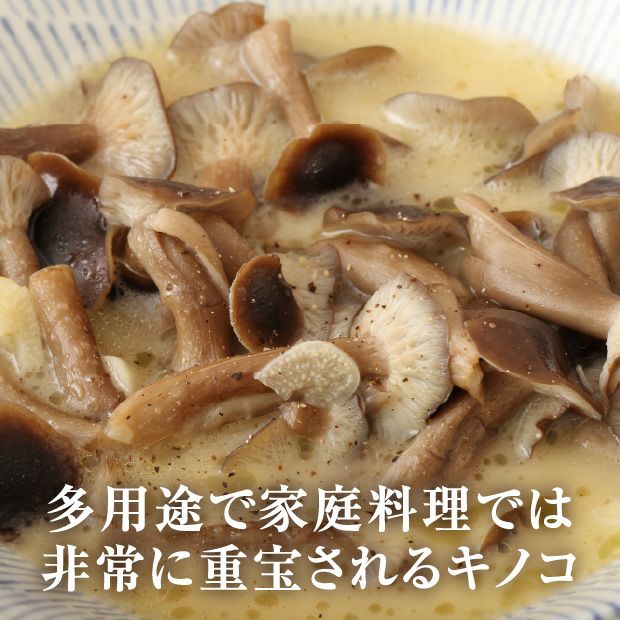 天然ハタケシメジ