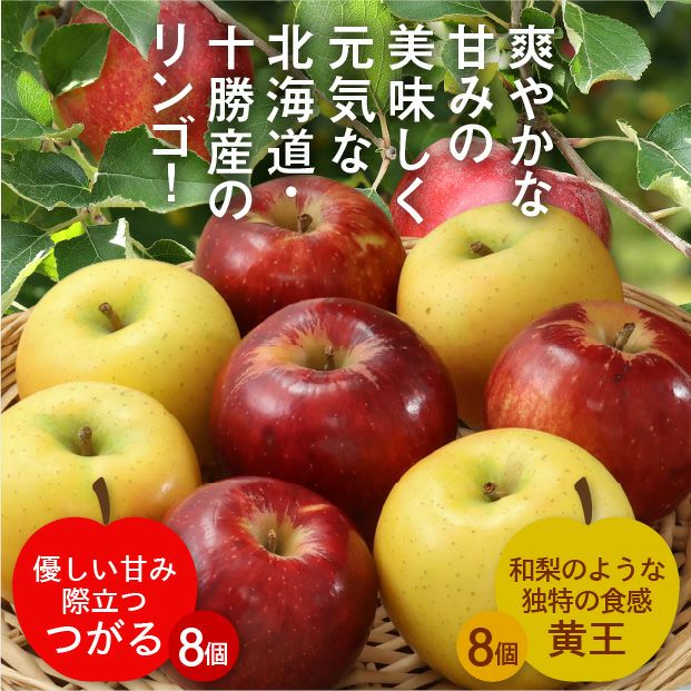 北海道十勝産りんご 　つがると黄王の8個ずつセット