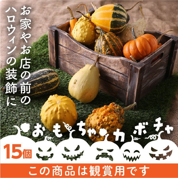ハロウィン用】当別産 おもちゃかぼちゃ15個 | 食べレア北海道