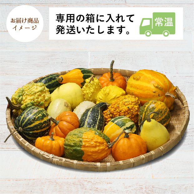 当別産　おもちゃかぼちゃ20個