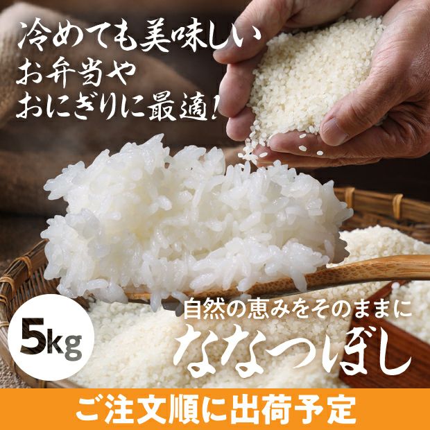 剣淵産　ななつぼし　精米5kg