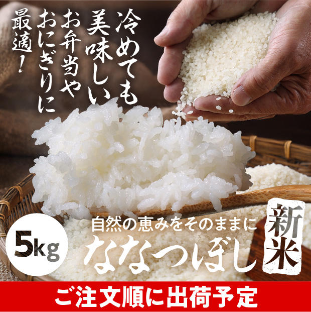 剣淵産　ななつぼし　精米5kg