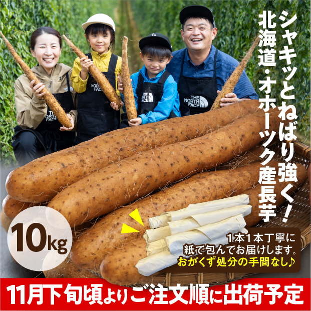 網走産 長いも 10kg