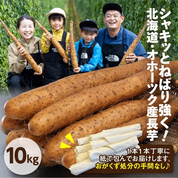 網走産 長いも 10kg