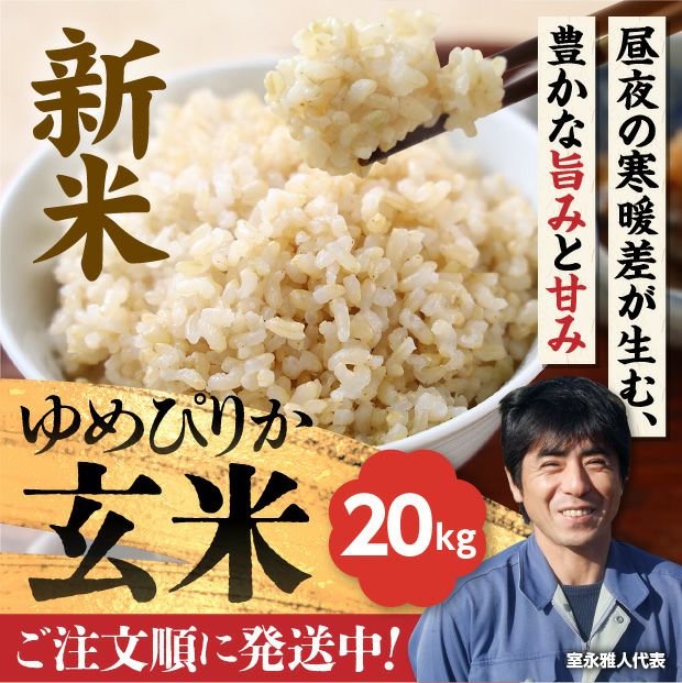 岩見沢産 金賞ゆめぴりか 玄米20kg