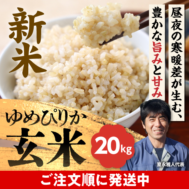 岩見沢産 金賞ゆめぴりか 玄米20kg