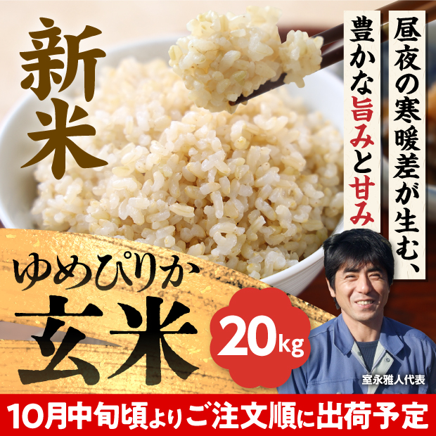 岩見沢産 金賞ゆめぴりか 玄米20kg