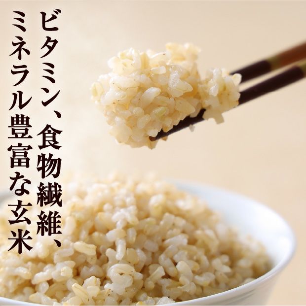 岩見沢産 金賞ゆめぴりか 玄米20kg