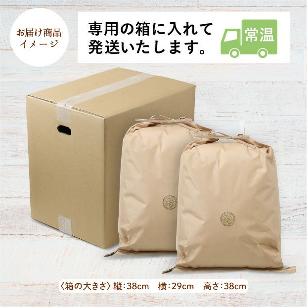 岩見沢産 金賞ゆめぴりか 玄米20kg