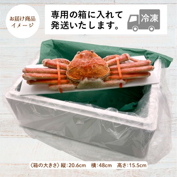 【ボイル冷凍】ずわいがに姿　1尾