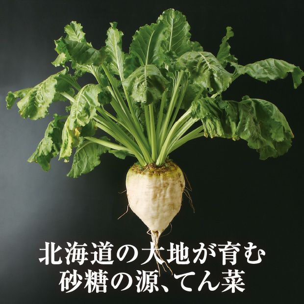 ラフィノース100