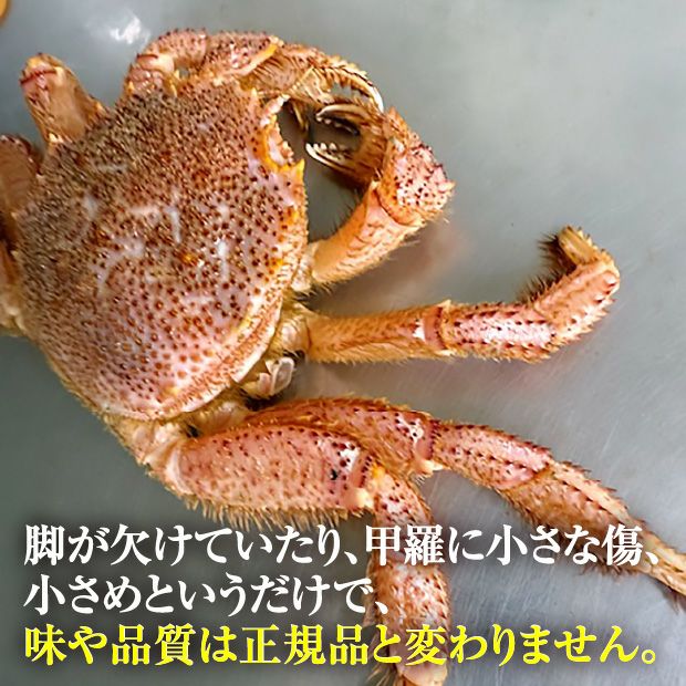  【北海道産】訳あり毛ガニ 冷凍ボイル 約1kg