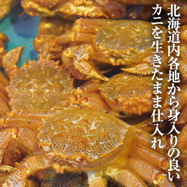 北海道産】訳あり毛ガニ 冷凍ボイル 約1kg｜魚介 ｜食べレア北海道