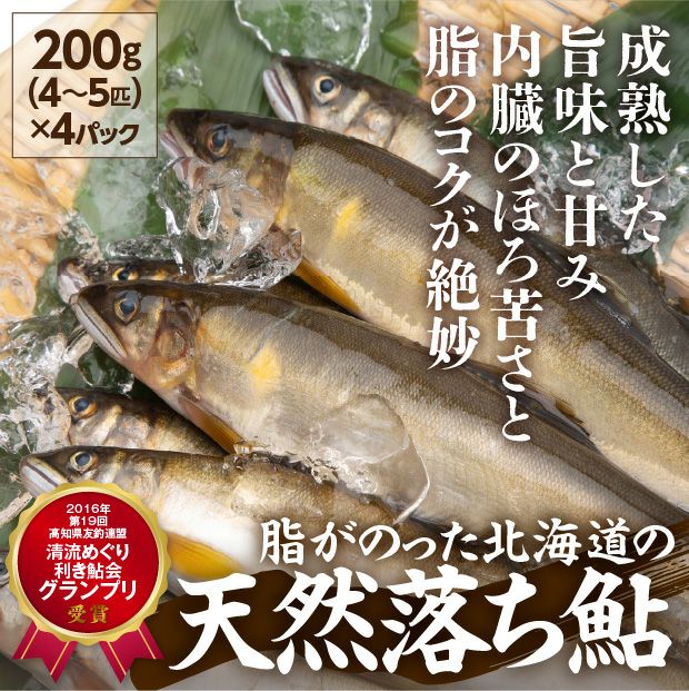 朱太川の天然鮎(落ち鮎)