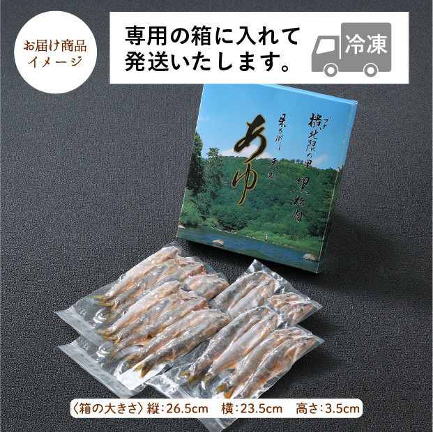 朱太川の天然鮎(落ち鮎)