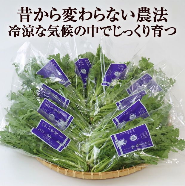 かみしま春菊