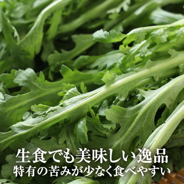 かみしま春菊