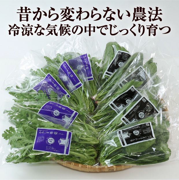 かみしま春菊＆ほうれん草