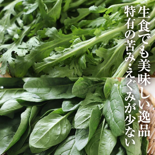 かみしま春菊＆ほうれん草