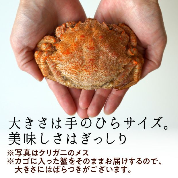 クリガニ【ボイル・冷凍】