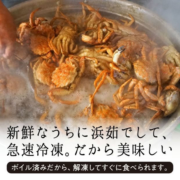 クリガニ【ボイル・冷凍】