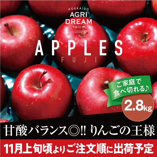 余市産 ふじりんご 2.8kg