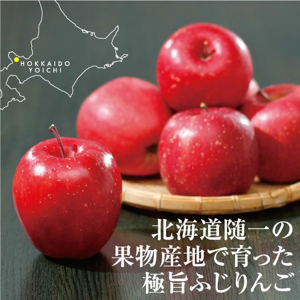 余市産 ふじりんご 2.8kg