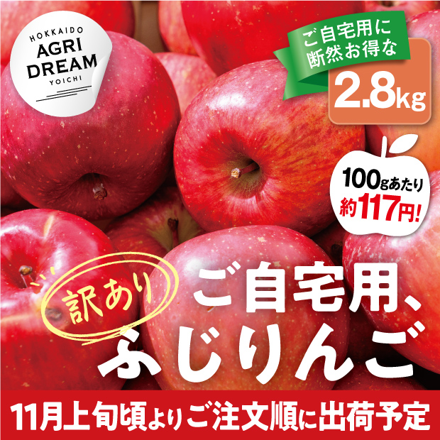 余市産 訳あり ふじりんご 2.8kg