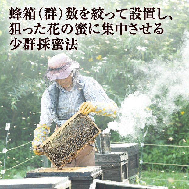 北海道産はちみつ　アカシア蜜　1㎏