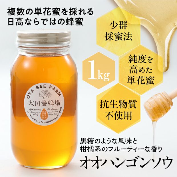 北海道産はちみつ オオハンゴンソウ蜜 1㎏ | 食べレア北海道 - 北海道