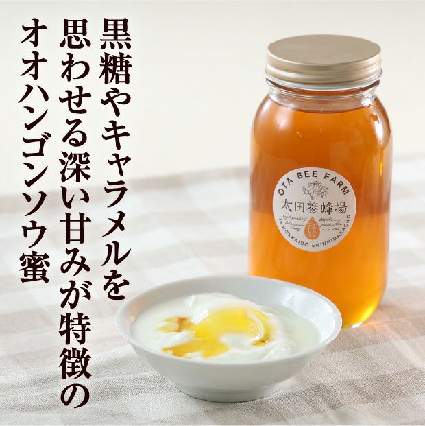 北海道産はちみつ オオハンゴンソウ蜜 1㎏ | 食べレア北海道 - 北海道