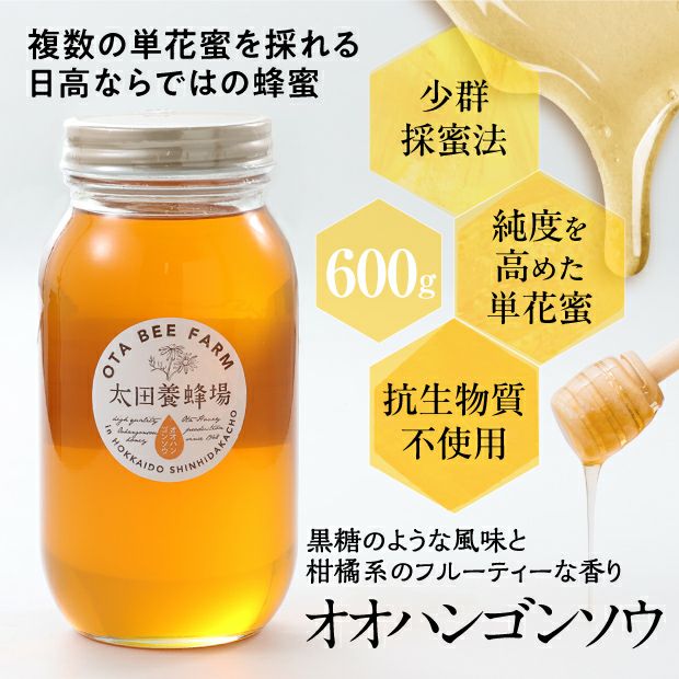 北海道産はちみつ オオハンゴンソウ蜜 600g（箱入） | 食べレア北海道
