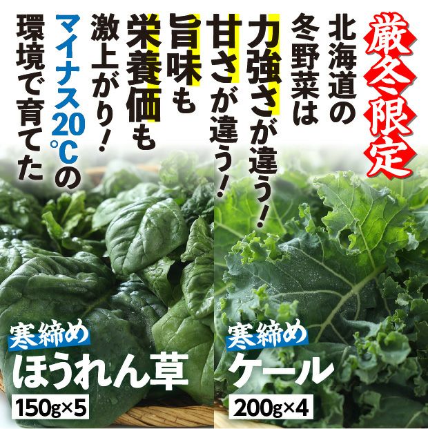 旭川産　ゆきあまほうれん草とゆきあまケールのセット