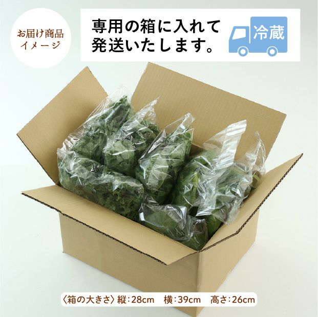 旭川産　ゆきあまほうれん草とゆきあまケールのセット