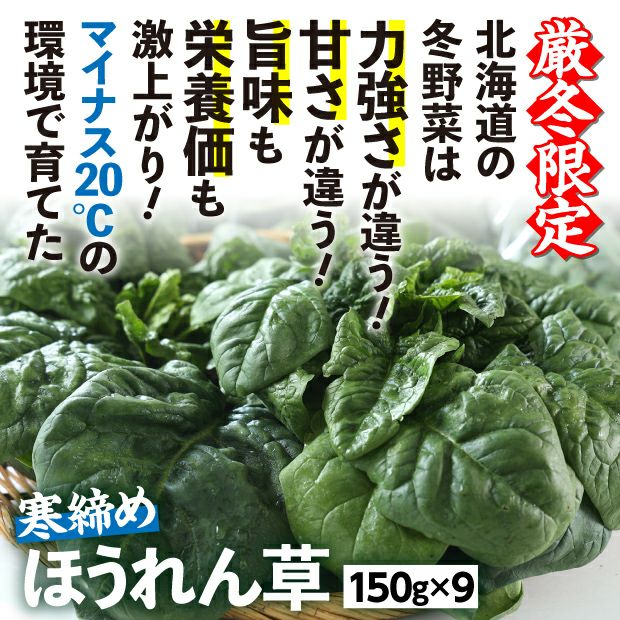 旭川産　ゆきあまほうれん草　150g×9袋