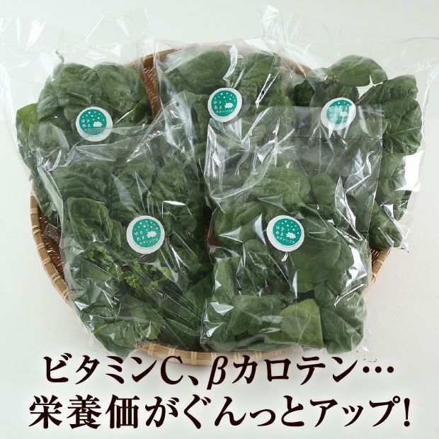 旭川産　ゆきあまほうれん草　150g×9袋