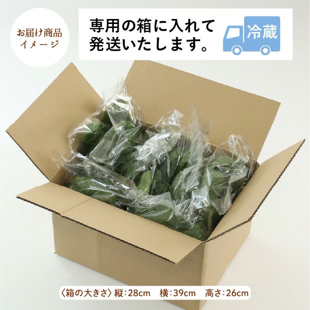 旭川産　ゆきあまほうれん草　150g×9袋